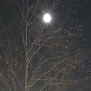 Meet your Posher, Eloise